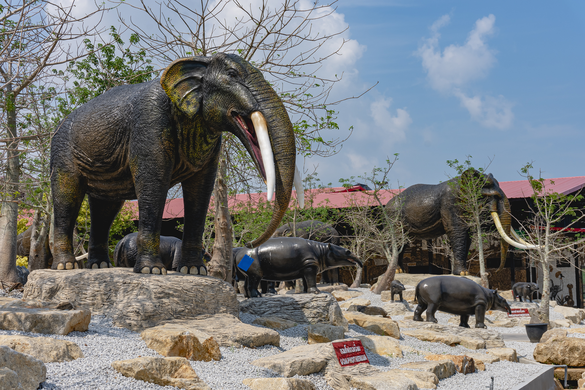 สวนช้างดึกดำบรรพ์ 