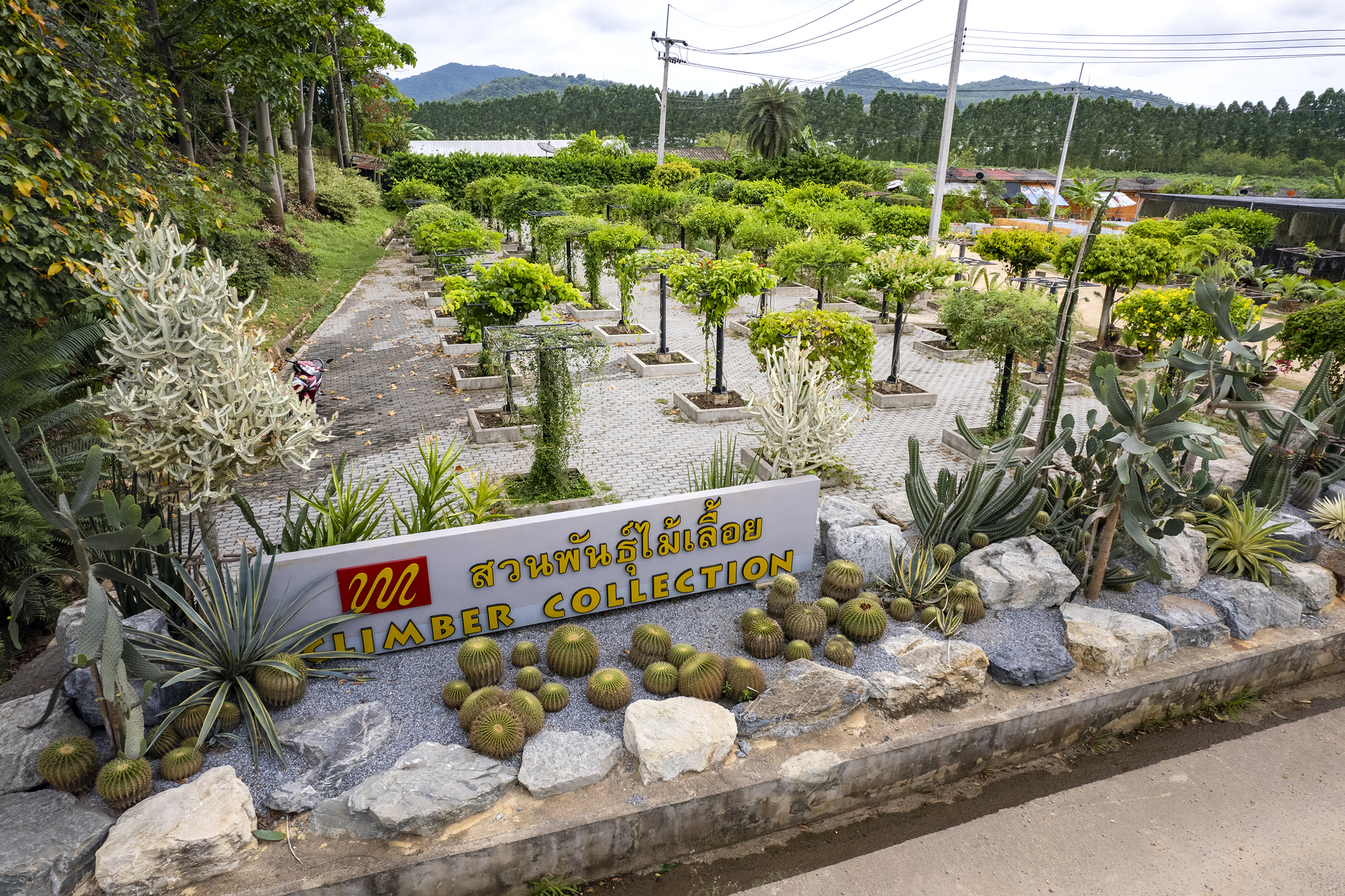 สวนพันธุ์ไม้เลื้อย