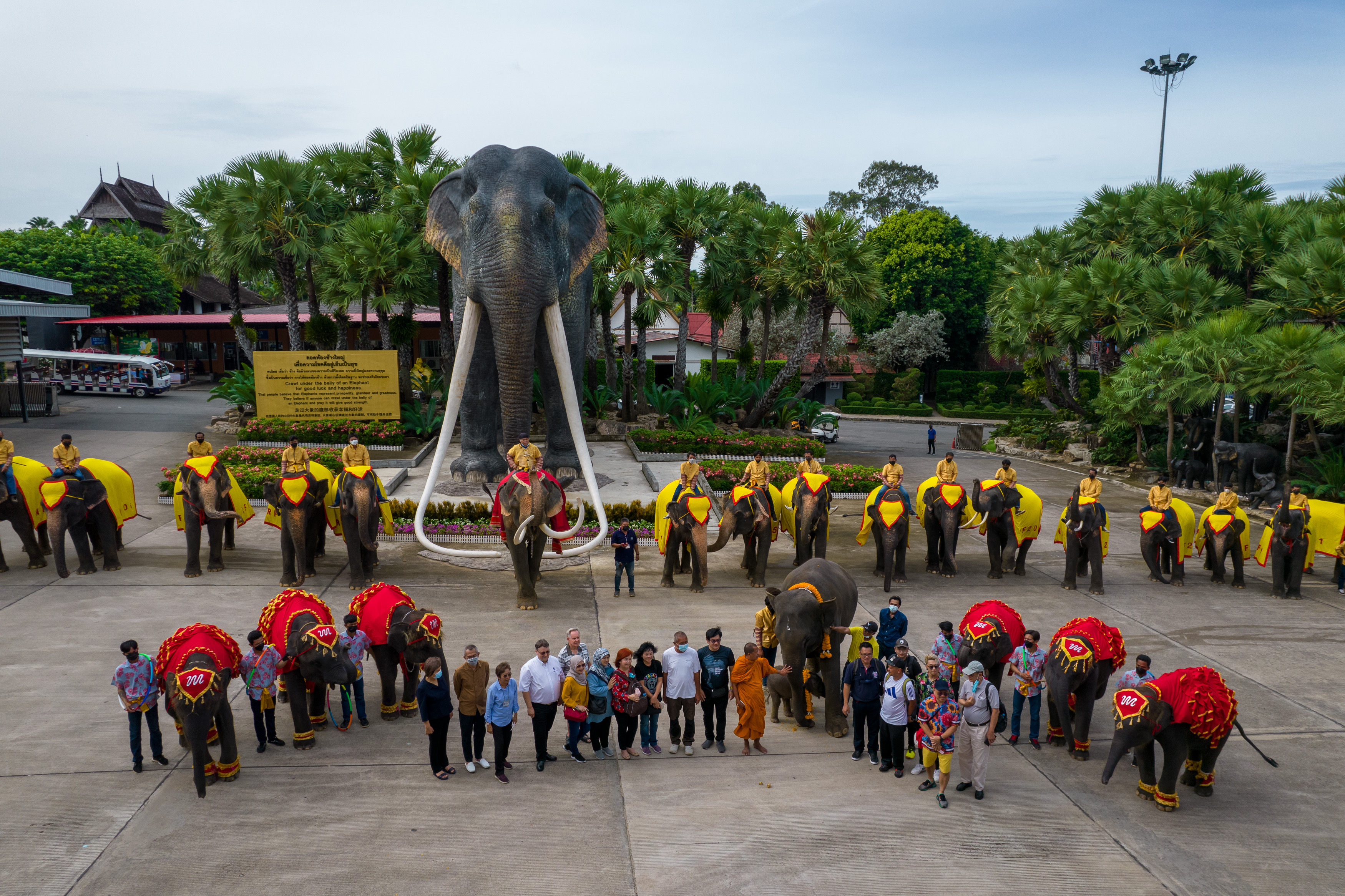 สวนนงนุชพัทยารับขวัญช้างเชือกที่ 3 ของปี พร้อมต่อโปรโมชั่น ซื้อ 1ฟรี1 ตลอดเดือนตุลาคม 65