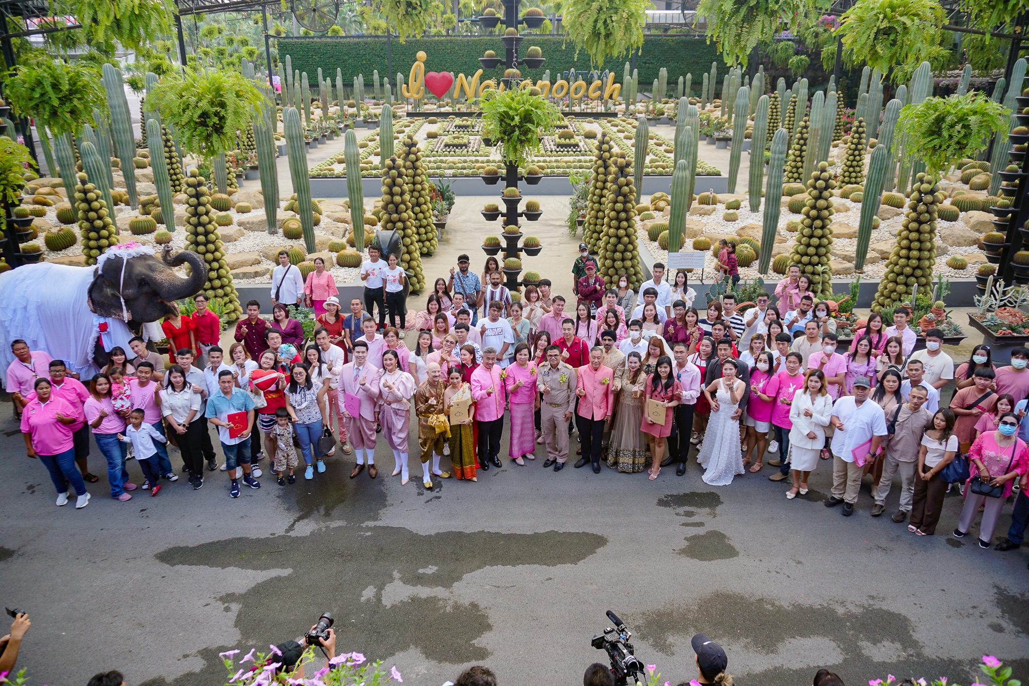 สวนนงนุชพัทยา จัดงานจดทะเบียนสมรสบนหลังช้างต่อเนื่องเป็นปีที่13รับวันแห่งความรัก 14 กุมภาวันวาเลนไทน์