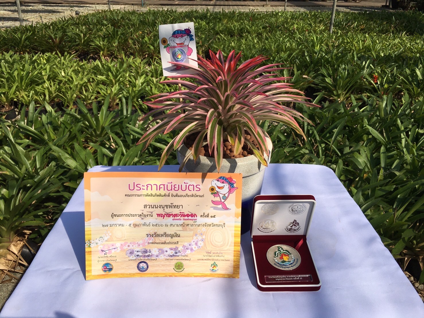 สวนนงนุชพัทยา รับเหรียญรางวัลจากการประกวด ไม้ดอกและไม้ประดับ