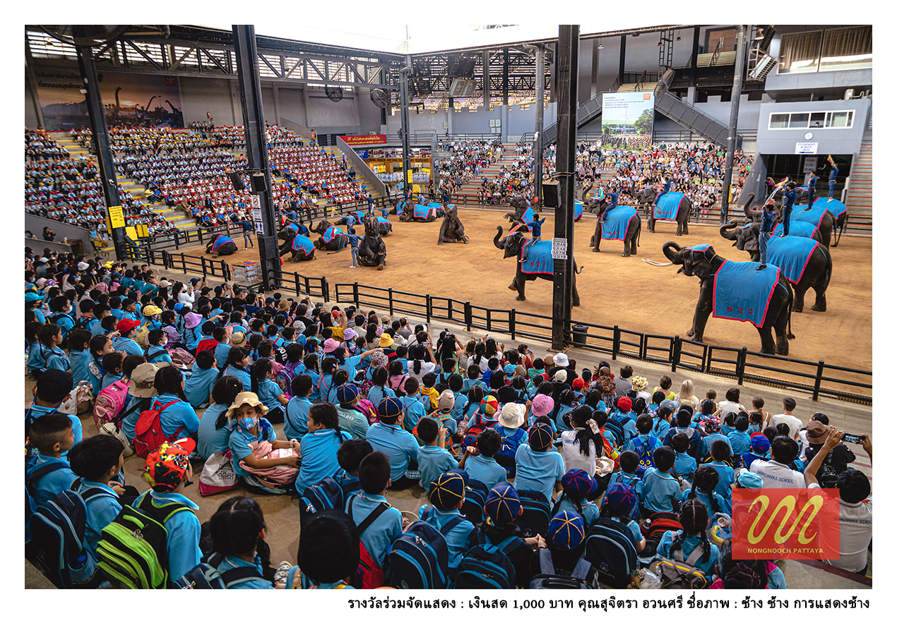 ประกาศผลรางวัลการประกวดภาพถ่าย Nongnooch Pattaya Photo Contest 2023 