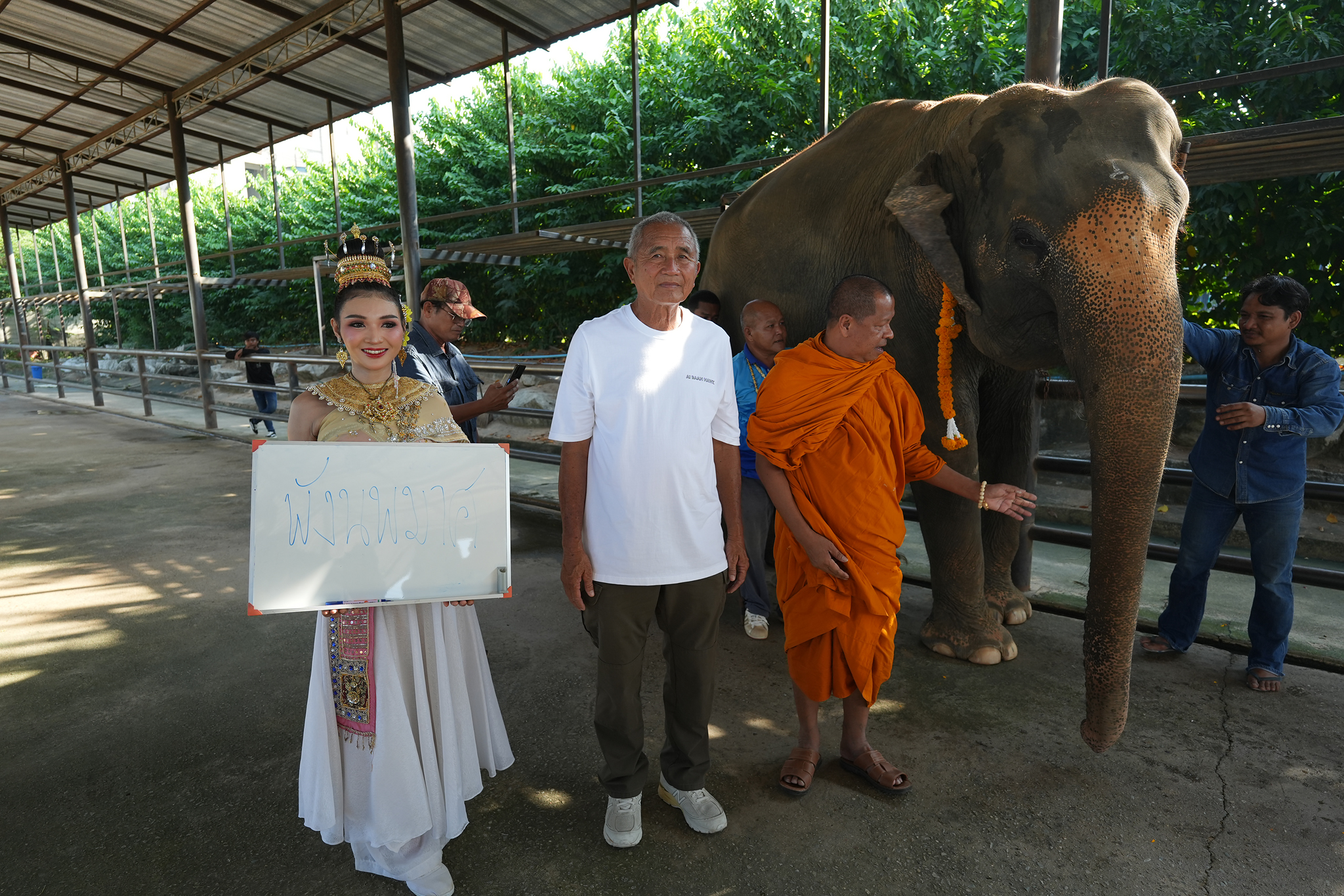 สวนนงนุชพัทยา จัดพิธีรับขวัญน้องช้าง พังนพมาศ เชือกที่ 5อย่างยิ่งใหญ่ ส่งท้ายปี 2566