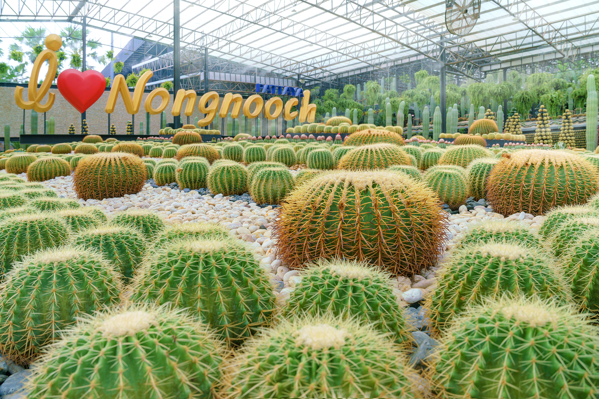 第一处仙人掌花园