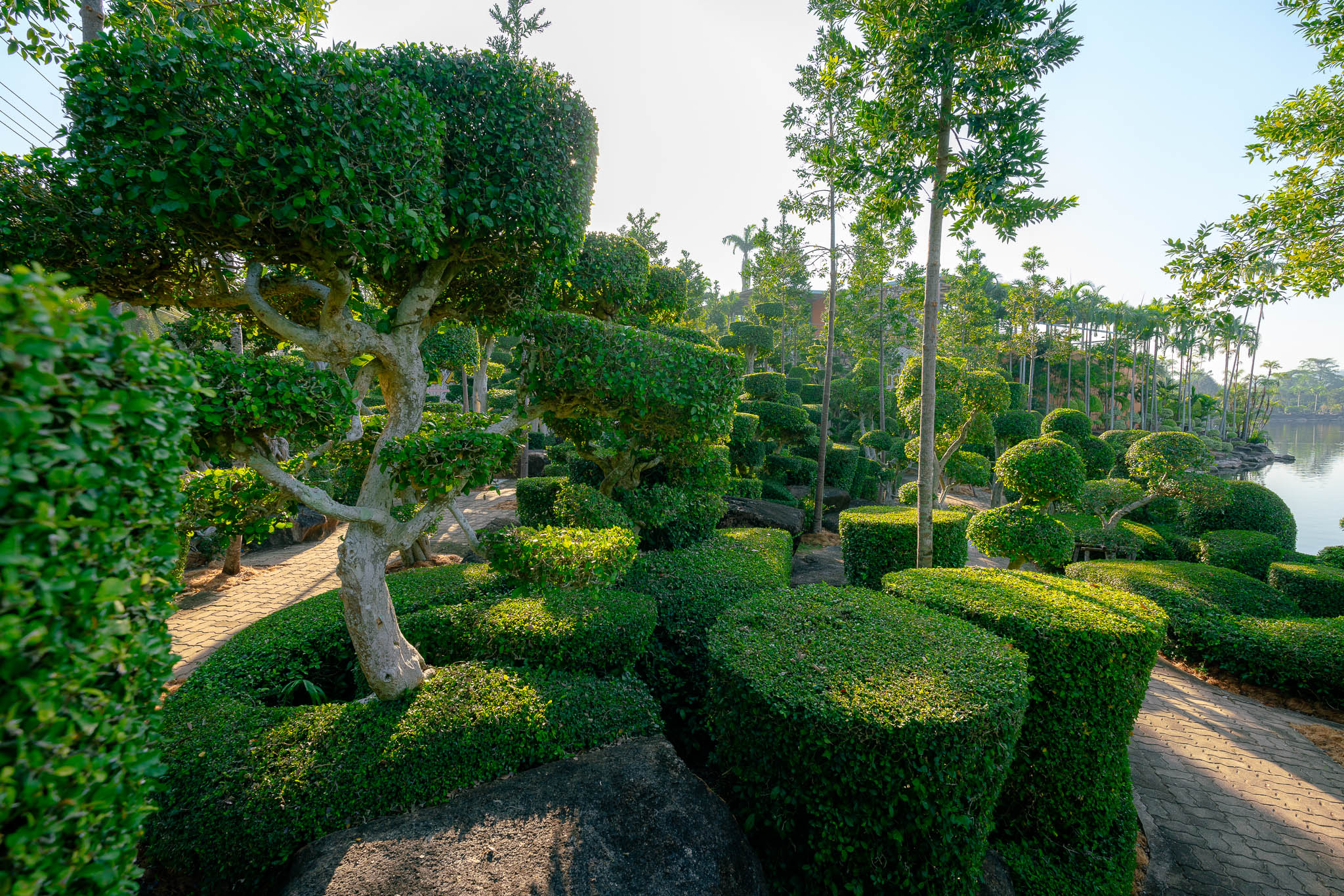 Topiary Garden