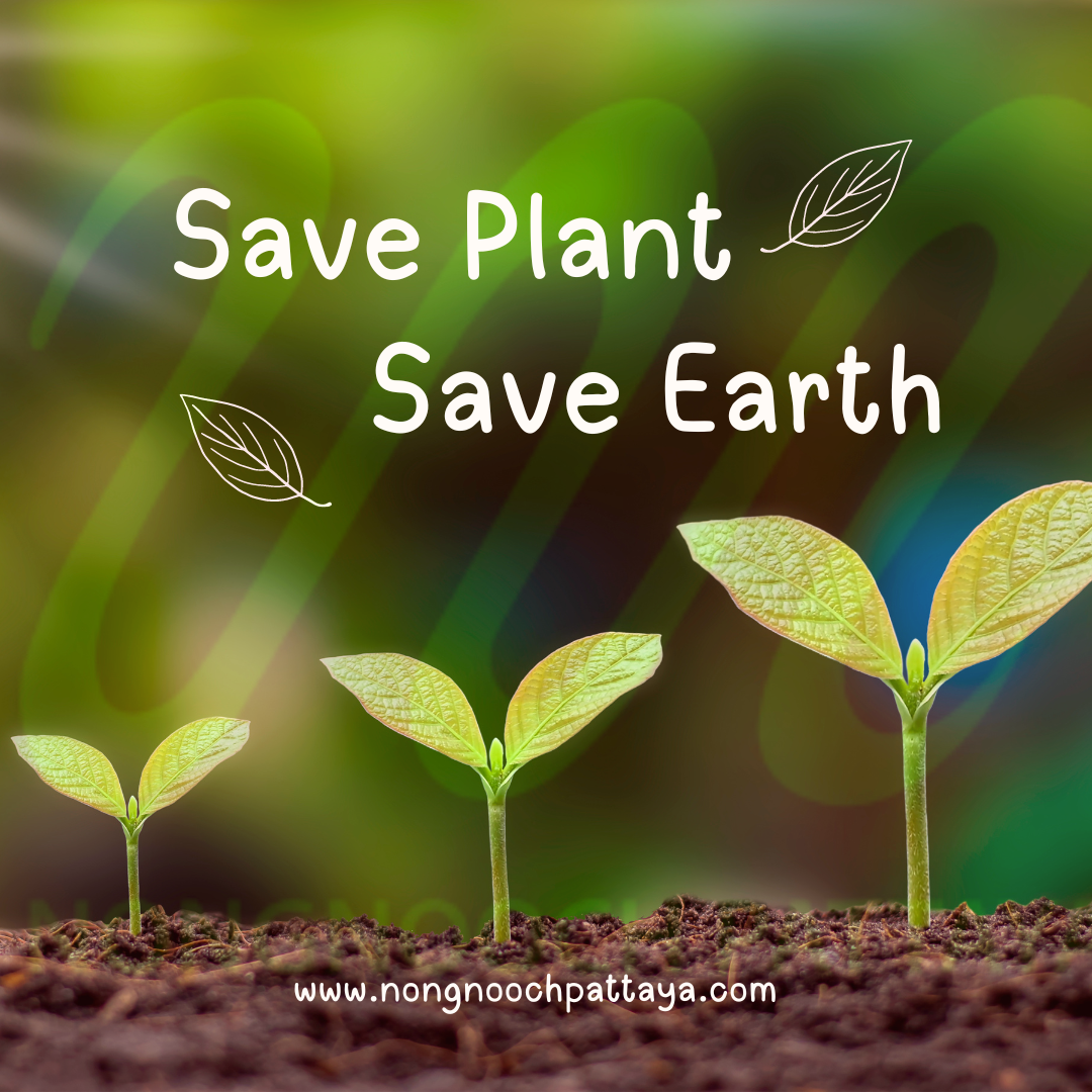 Nongnooch Garden Pattaya's Mission: Conserving Rare Plants