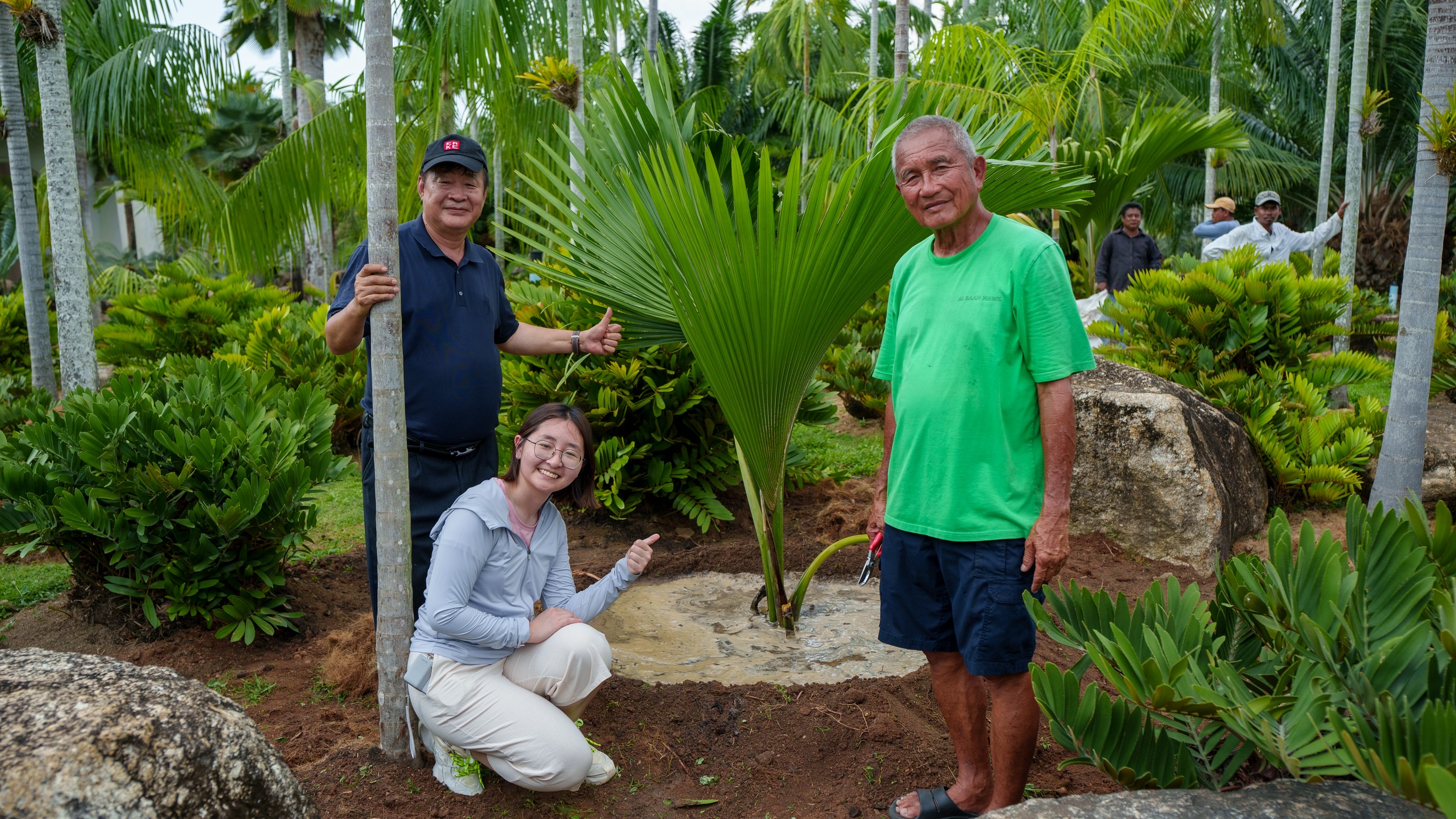 Nongnooch Garden Pattaya Collaborates with Chinese Government Representatives to Research Coco de Mer and the World’s Rarest Cycad Species