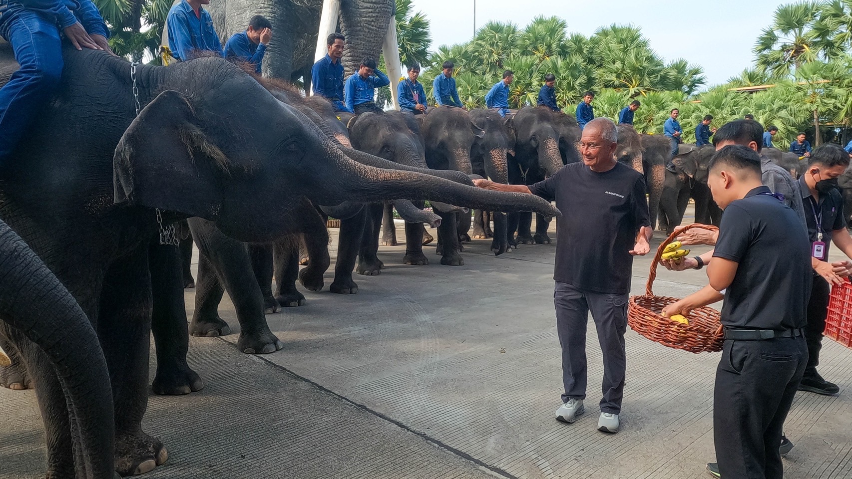  “พี่น้องต่างครรภ์แห่งสวนนงนุชพัทยา” เปิดตำนานอบอุ่นสองชีวิตใหม่ลูกช้างคู่สายเลือดเดียวกัน