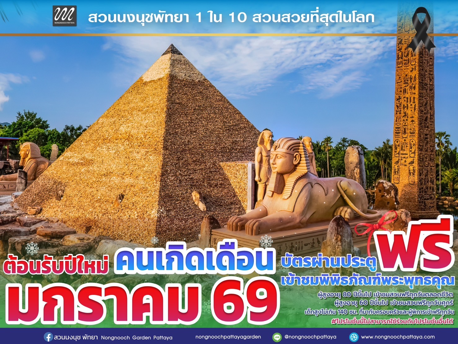 ส่งท้ายปีเก่าต้อนรับปีใหม่ 2569 สวนนงนุชพัทยามอบของขวัญสุดพิเศษ ชวนสัมผัสทะเลดอกไม้บานสะพรั่งทั่วทั้งสวน