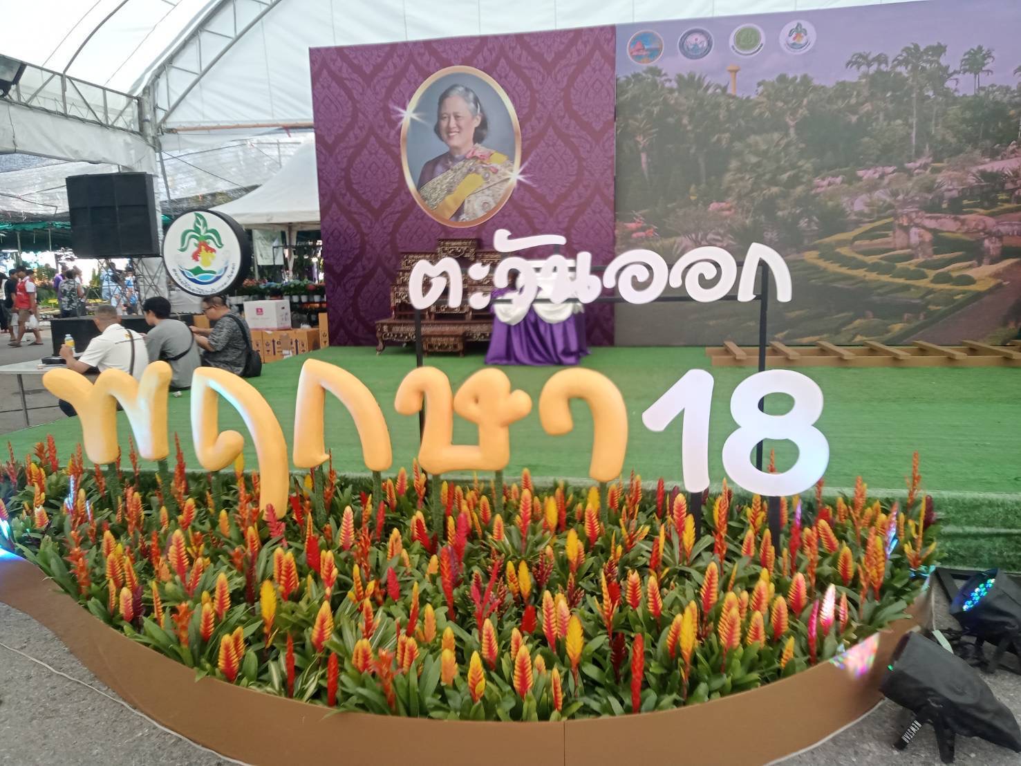 สวนนงนุชพัทยา ส่งต้นสับปะรดสีเข้าประกวด จำนวน 12 ต้นงานพฤกษาตะวันออก ณ สนามหน้าศาลากลางจังหวัดชลบุรีวันอาทิตย์ที่ 18 มกราคม 2569