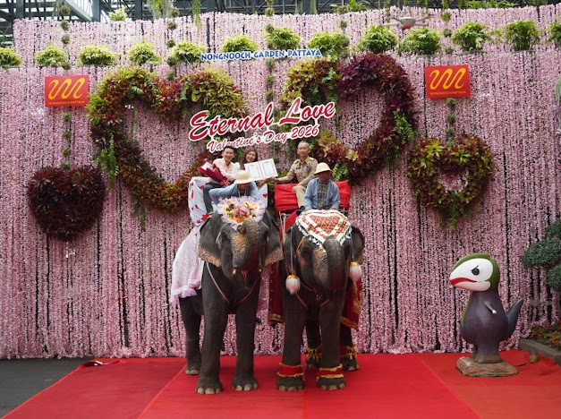 A Miracle of Love on Elephant Back – Nongnooch Garden Pattaya Creates a Once-in-a-Lifetime Experience for Couples Amid One of the World’s Top 10 Most Beautiful Gardens, Showcasing Thai Soft Power to the International Stage