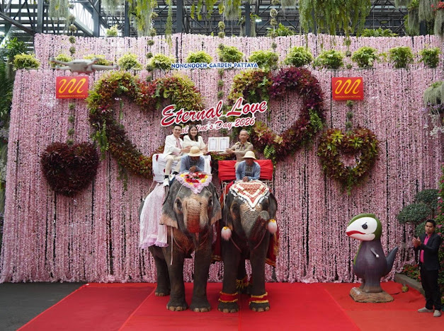 มหัศจรรย์แห่งรักบนหลังช้าง สวนนงนุชพัทยา สร้างประสบการณ์ครั้งหนึ่งในชีวิตคู่ ท่ามกลาง 1 ใน 10 สวนสวยที่สุดในโลก ตอกย้ำ Soft Power ไทยสู่สายตานานาชาติ